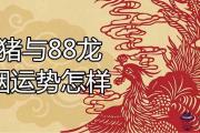 83豬與88龍的婚姻怎樣