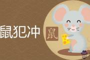 屬鼠跟什麼屬相犯沖易生災劫