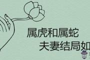 屬虎和屬蛇的夫妻結局如何