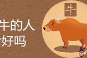 屬牛的人命好嗎 鼠寶寶和牛寶寶哪個好