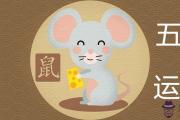 五行中鼠命為幾種