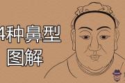 14種鼻型圖解哪種是好命面相