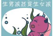 免費算婚姻：八字看生男生女