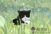 婚姻樹上有灰葉子代表了什麼