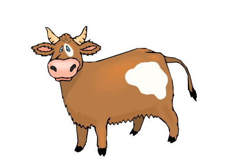 1961年屬牛的幸運顏色 61年屬牛2021年幸運色