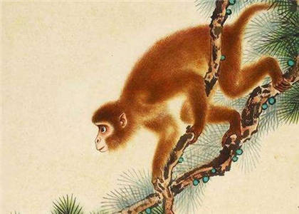 屬猴人的住宅風水