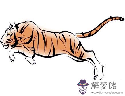 屬虎的吉祥物是什么