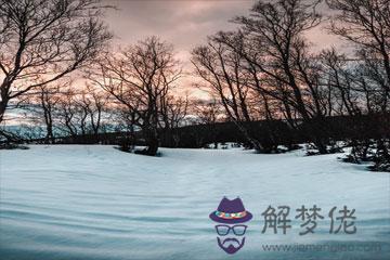 元旦節祝福經典短句子
