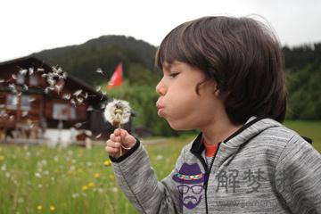 張什麼博名字好聽男孩