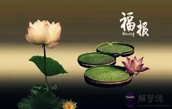 八字看福報