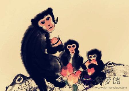 2020年屬猴的人財運如何