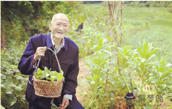 長壽人的八字命理
