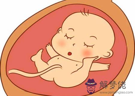 胎元命宮對八字的作用