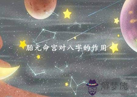 胎元命宮對八字的作用