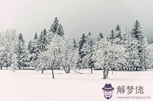甲木生于各月詳解