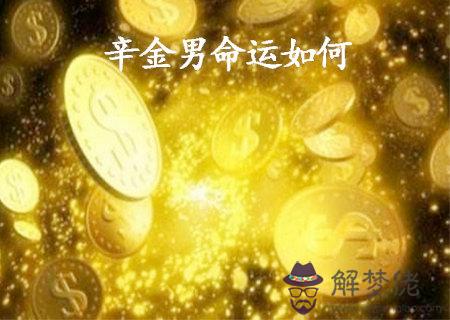 辛金男的命運如何