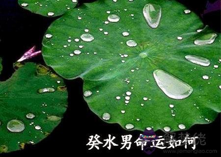 癸水男的命運如何