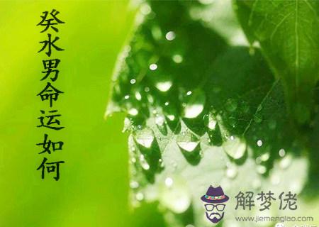 癸水男的命運如何