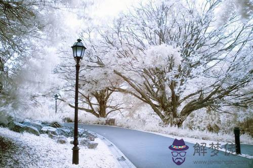庚日干生于子月
