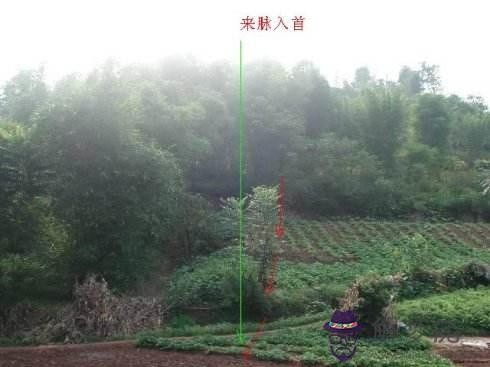八字看祖墳陰陽宅