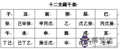 十二地支藏干解說