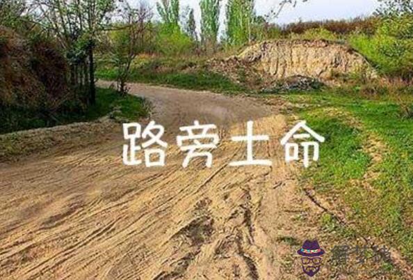  路旁土命是什麼意思，命格解析