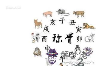 生肖稱骨論吉兇， 稱骨算命猴骨運勢解析