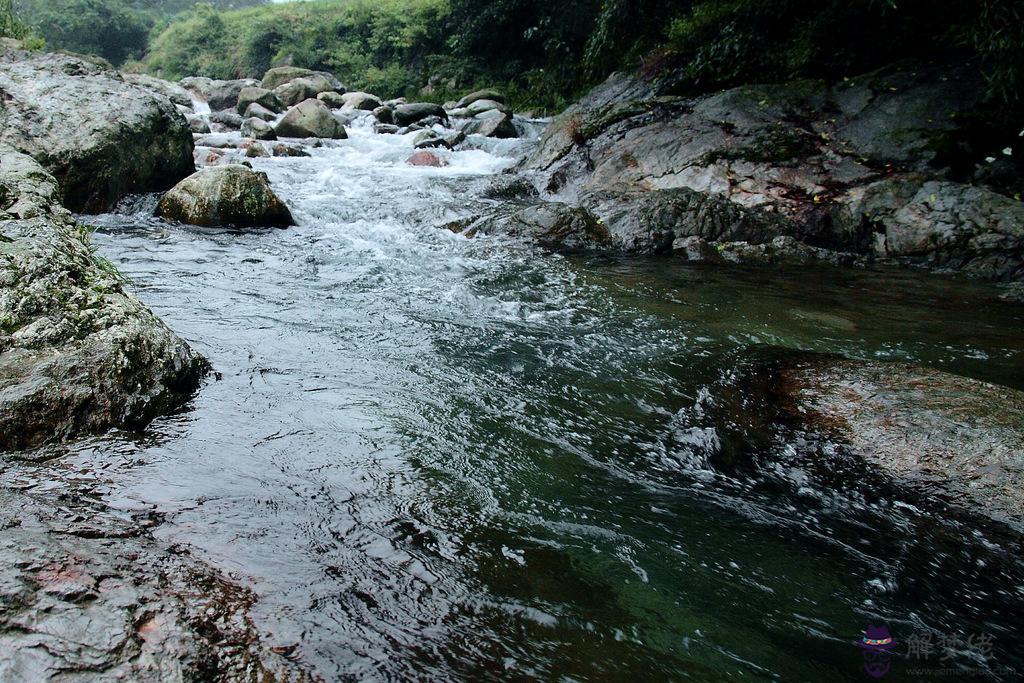 癸水日元很特殊，一生受庇佑