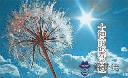 十神命論壽長短