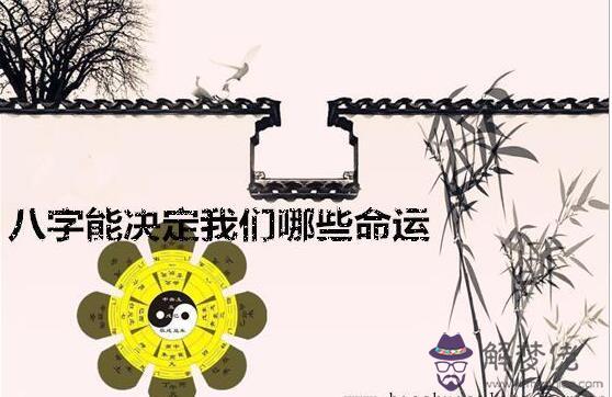 八字能決定我們哪些命運