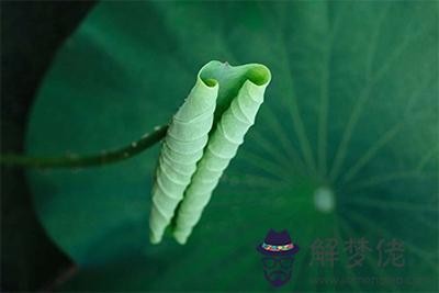 土命到底是好還是壞？大驛土命缺火命理解析！