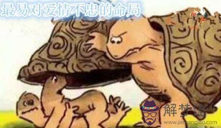 最易對愛情不忠的命局