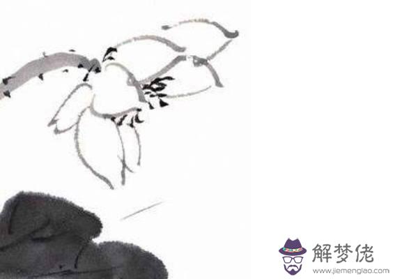 帝旺運是什麼意思,多少歲適合走帝旺運