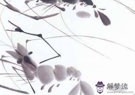 傷官格女命,帶有傷官格女命好嗎