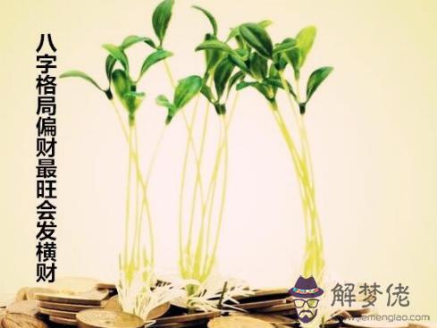 八字格局偏財最旺會發橫財
