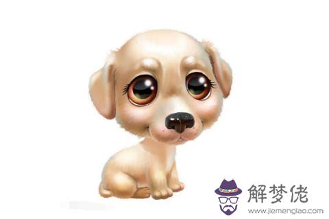 2018年打一生肖？