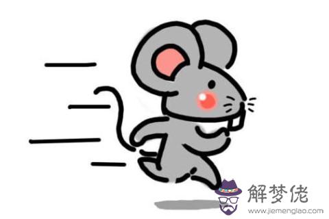 屬鼠的守護神是什么？