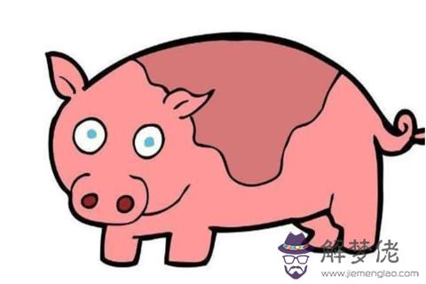 屬豬跟屬雞人戀愛好不好？