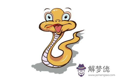 屬蛇人婚姻和運勢分析