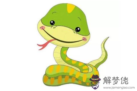 農歷十一月出生的屬蛇人運勢分析
