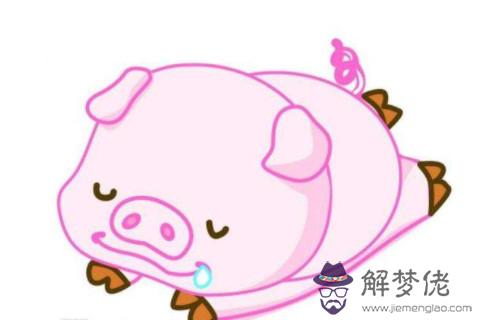 不同年份出生的屬豬男女2021年的運勢分析