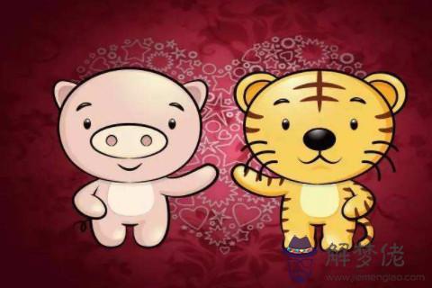 屬虎男人最搭的屬相是哪些