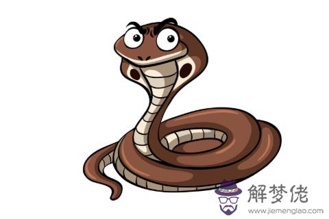 屬雞的人最佳合作伙伴是哪幾個