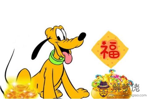 1946年屬狗人2021年命運如何  如何化解犯太歲