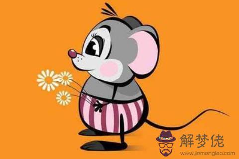 鼠年出生的人一生運勢分析