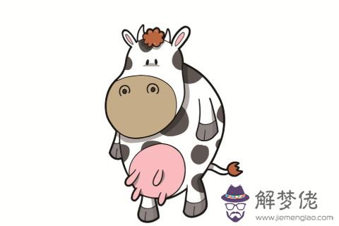 屬牛人在2021年本命年36歲送什么禮物好