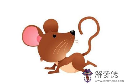 出生于1996年屬鼠人2021年命運如何  適合佩戴什么吉祥物