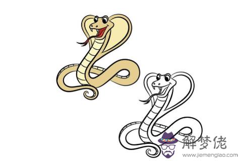 出生于1977年屬蛇人2021年命運如何  適合佩戴什么吉祥物