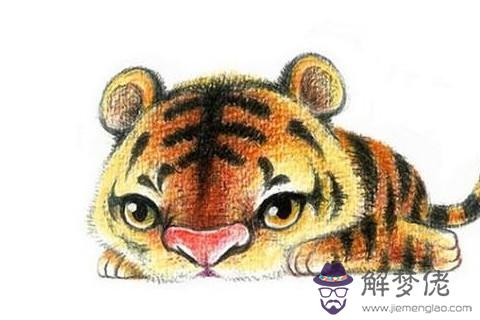 1962年屬虎人在2020年的運勢以及運程，58歲屬虎人運勢詳解