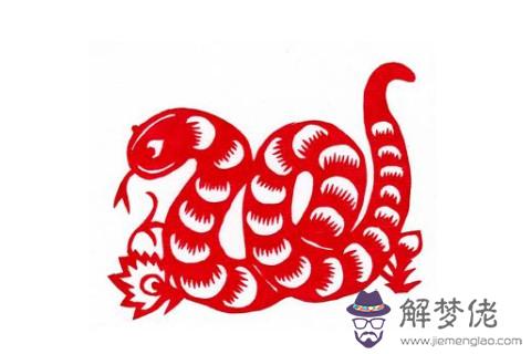 出生于1977年生肖蛇的人運勢如何？